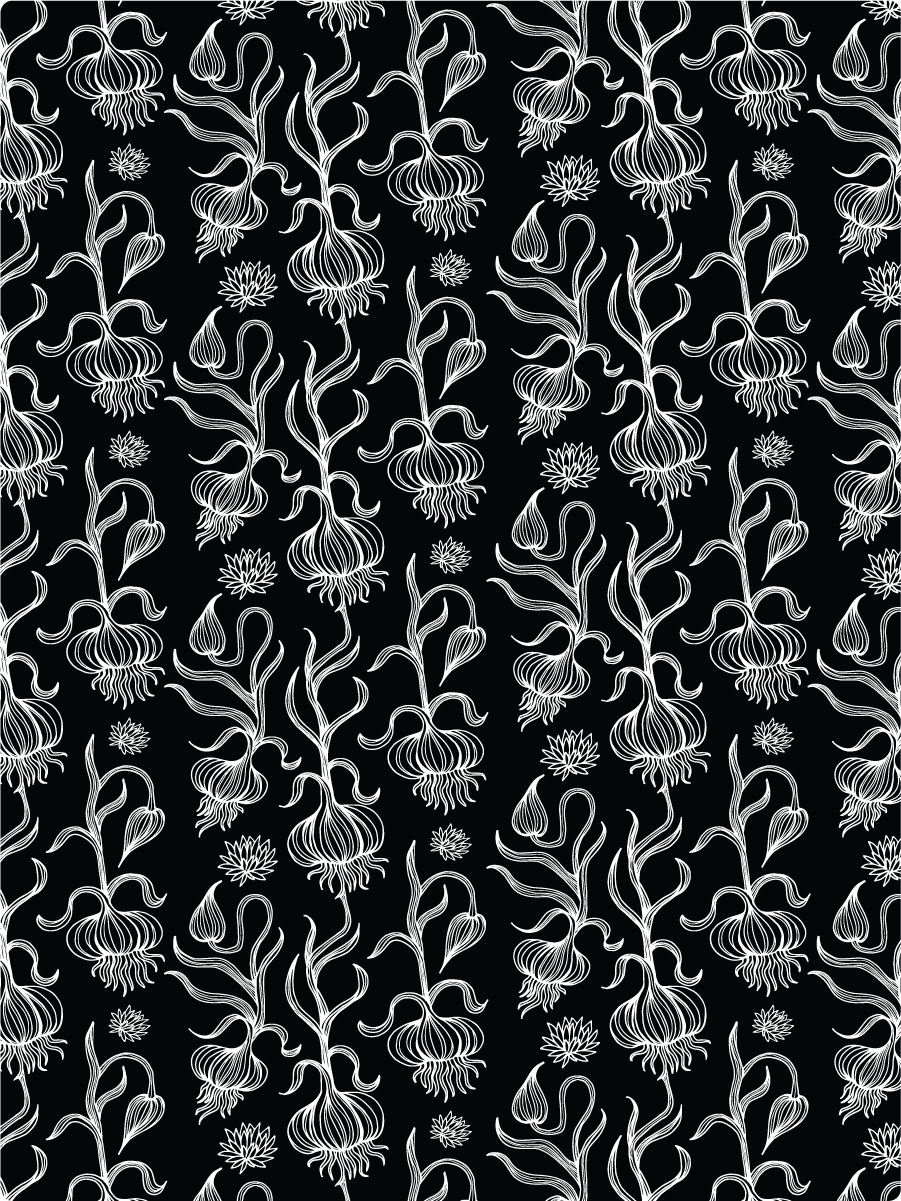 Garlic - image 2 - student project
