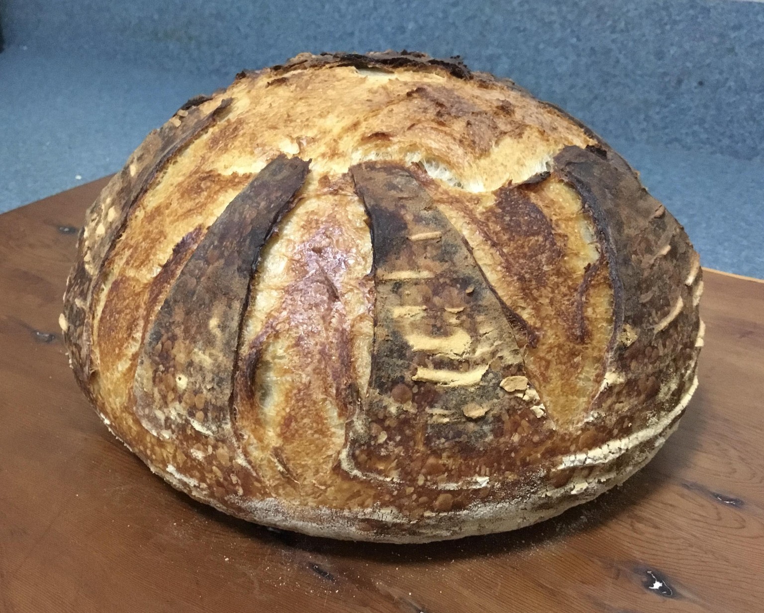 SourDough Bread - image 1 - student project