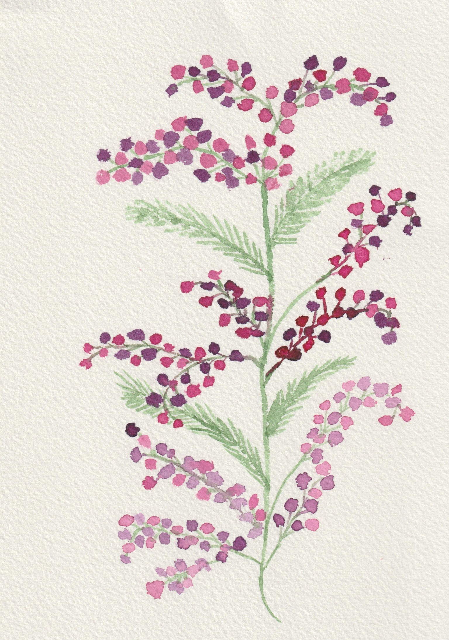 Wild Dolts flowers - image 5 - student project