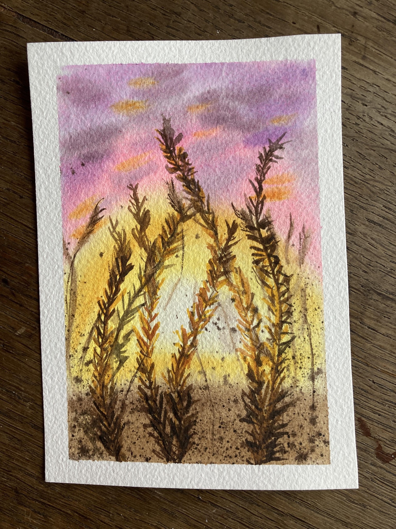 15 Sunrise & Sunset Landscapes - image 9 - student project