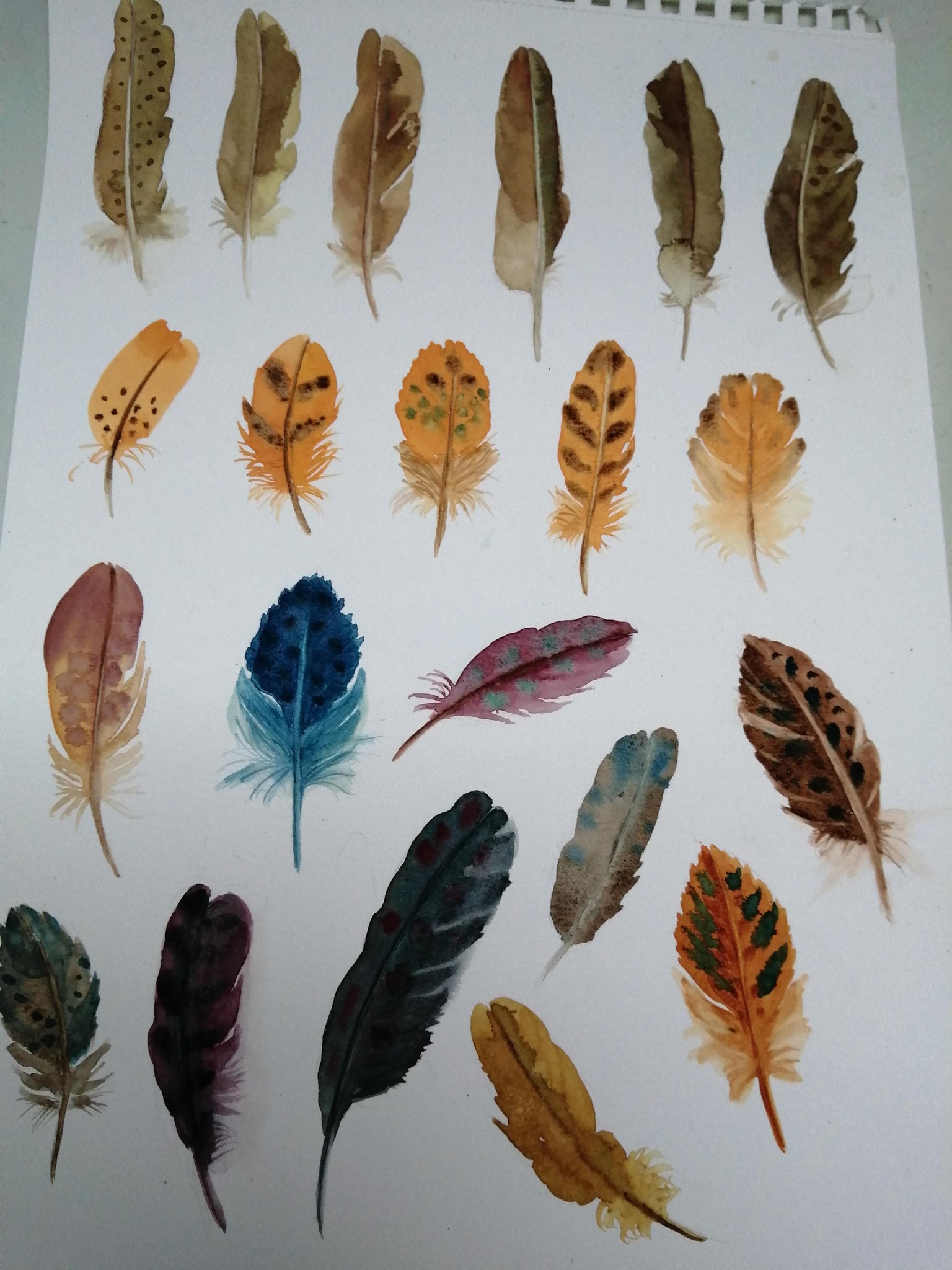 Plumes - image 1 - student project