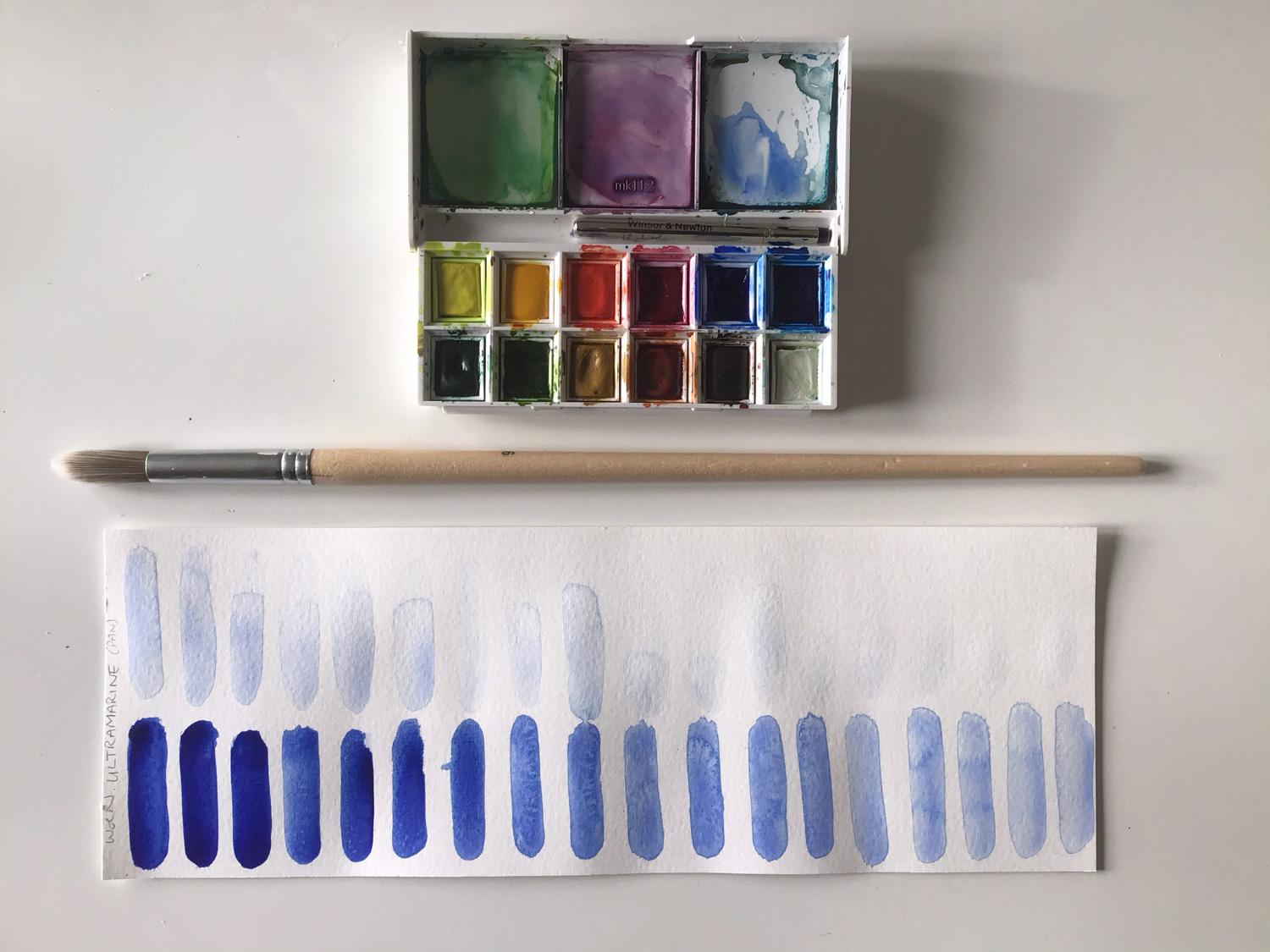 Egg & Still Life Studies in Ultramarine - image 1 - student project