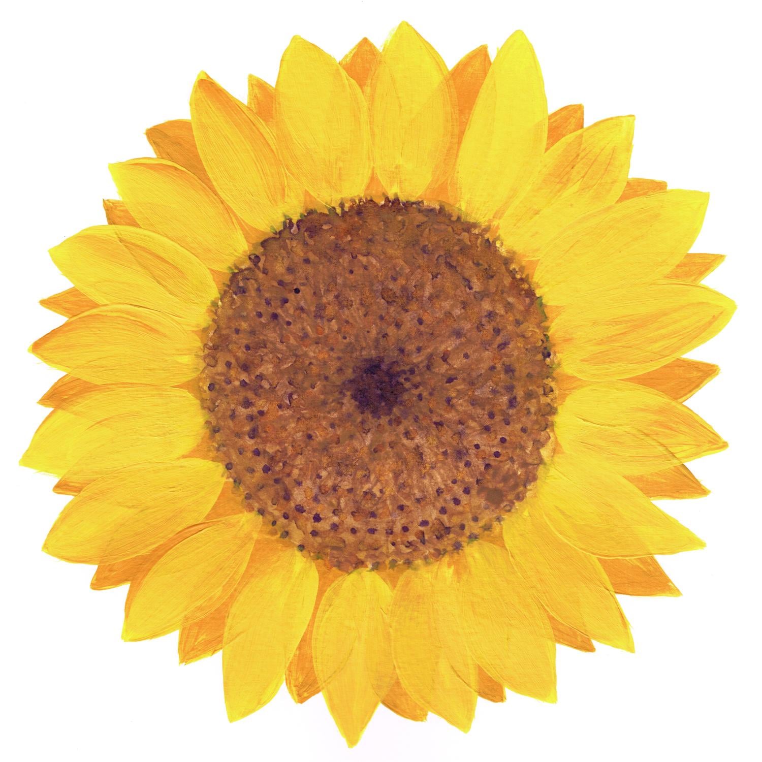 Sunflower - image 3 - student project