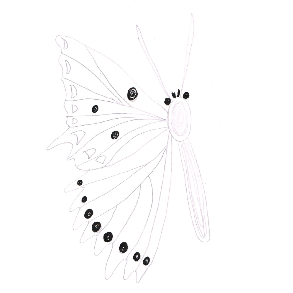 Butterflies (example project) - image 3 - student project