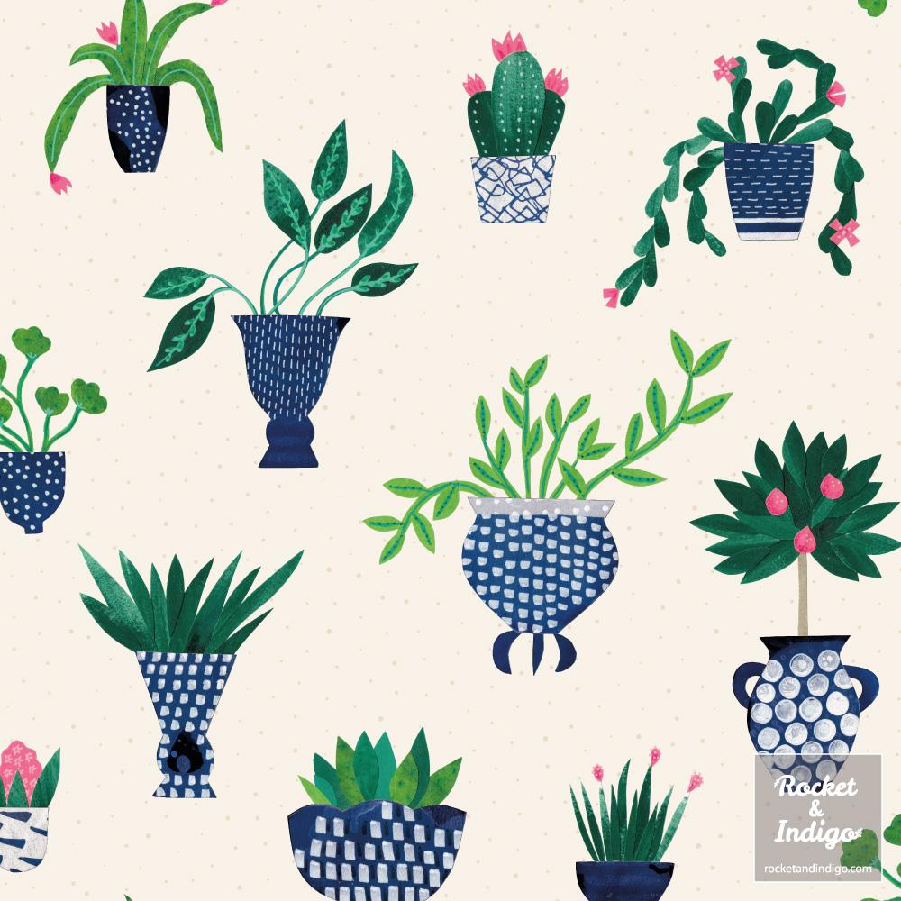 Houseplants - image 2 - student project