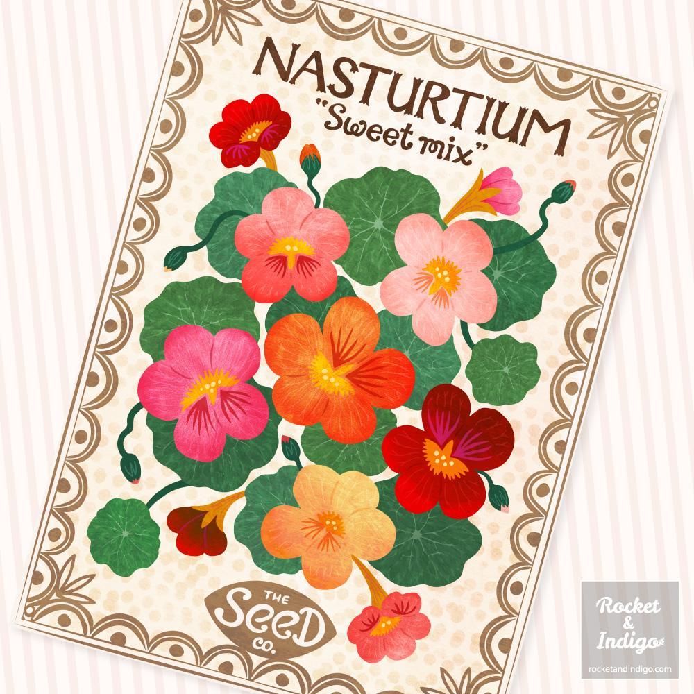 Nasturtium Flowers - image 2 - student project