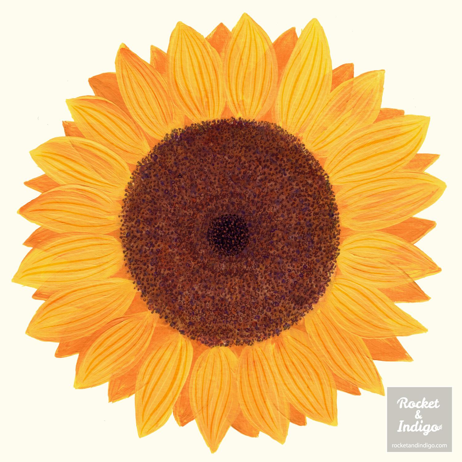Sunflower - image 6 - student project