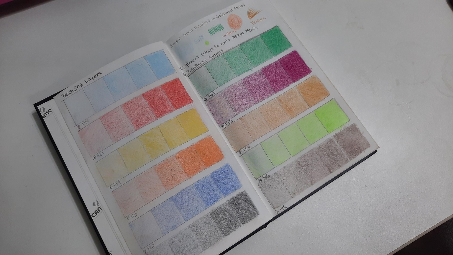 Proximamente FLOR DE LOTO - image 2 - student project
