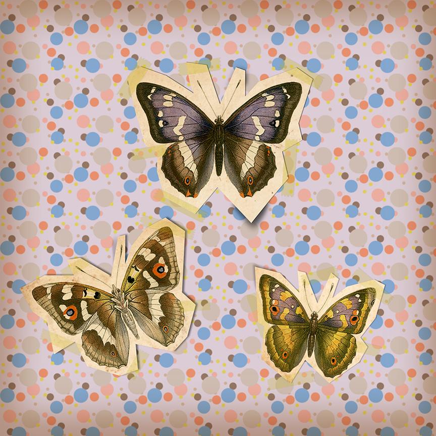 Butterflies - image 4 - student project