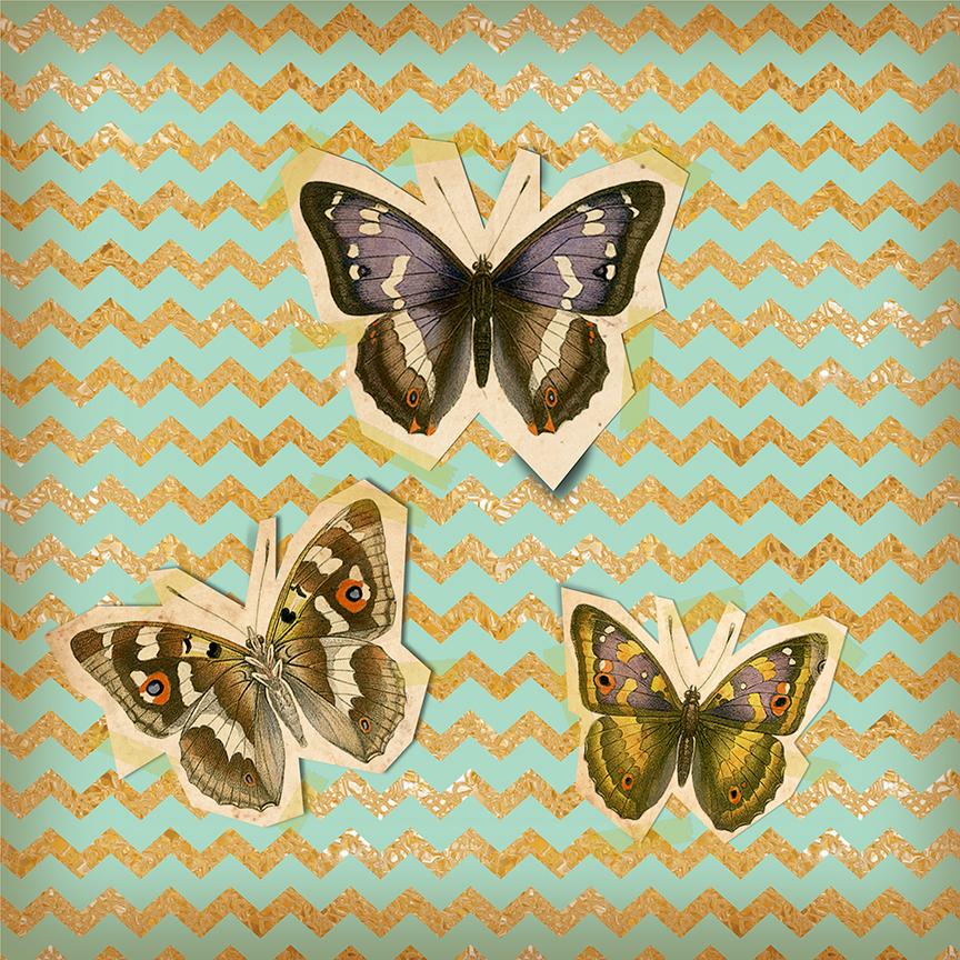Butterflies - image 1 - student project
