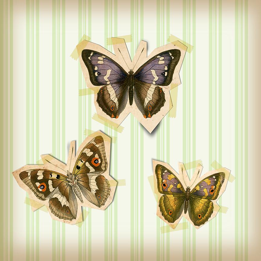Butterflies - image 2 - student project