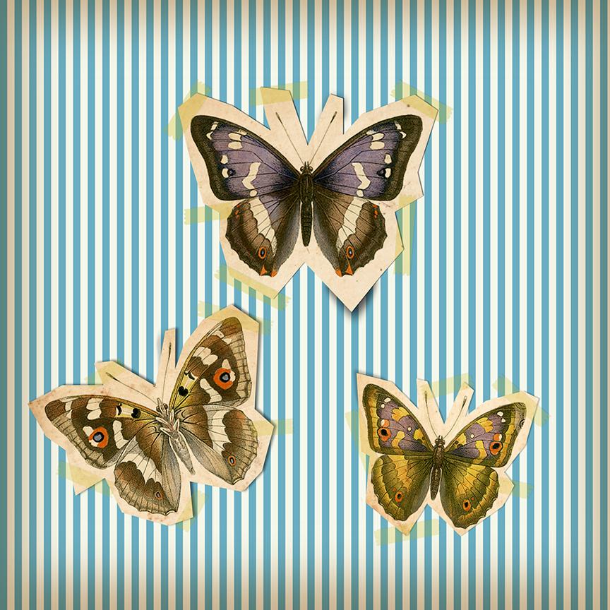 Butterflies - image 3 - student project