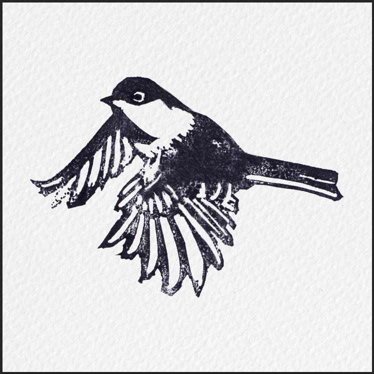 Hello, chickadees! - image 4 - student project