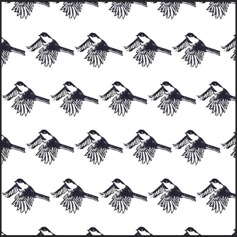 Hello, chickadees! - image 5 - student project