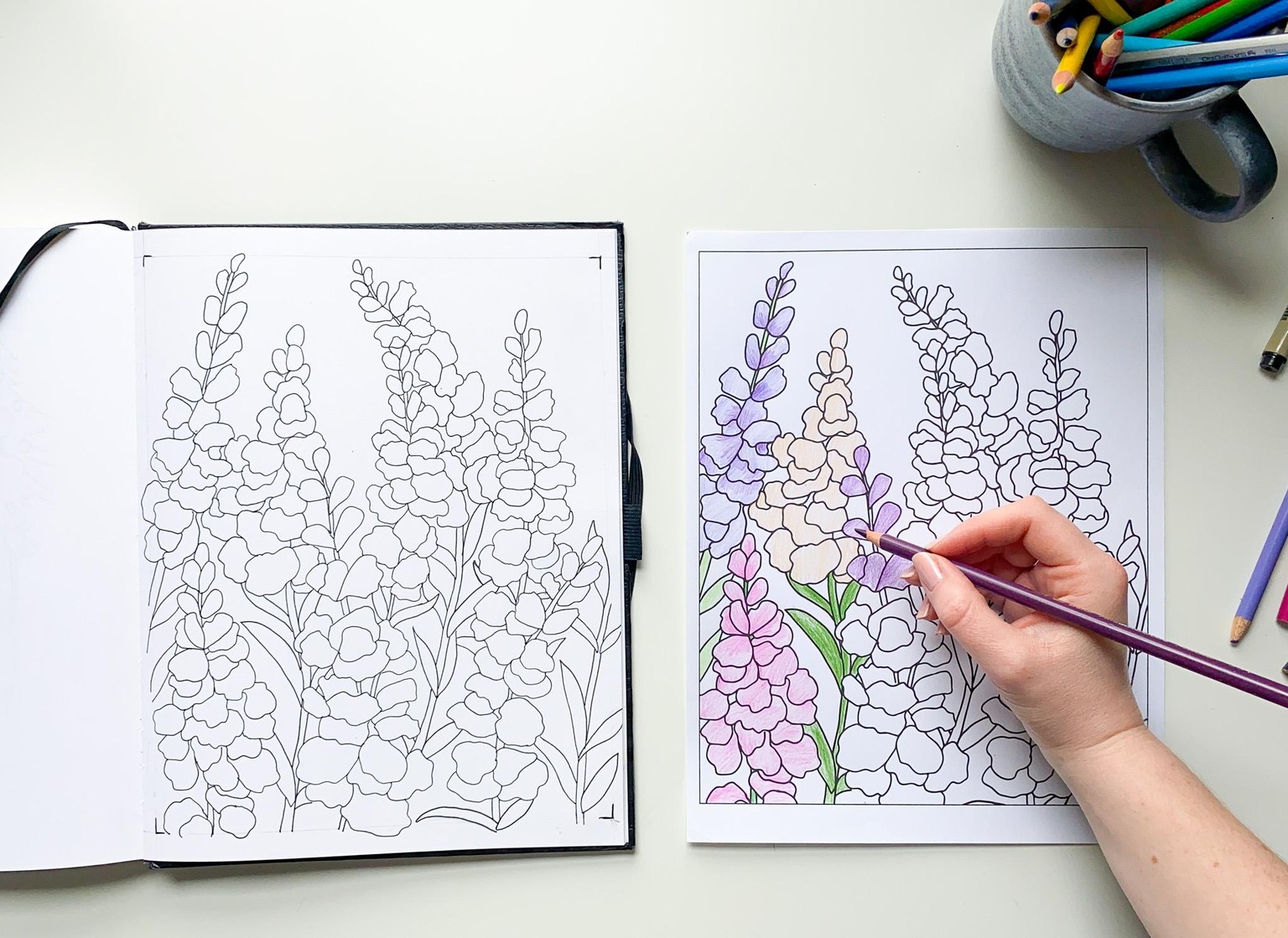 Snapdragon Coloring Page - image 1 - student project