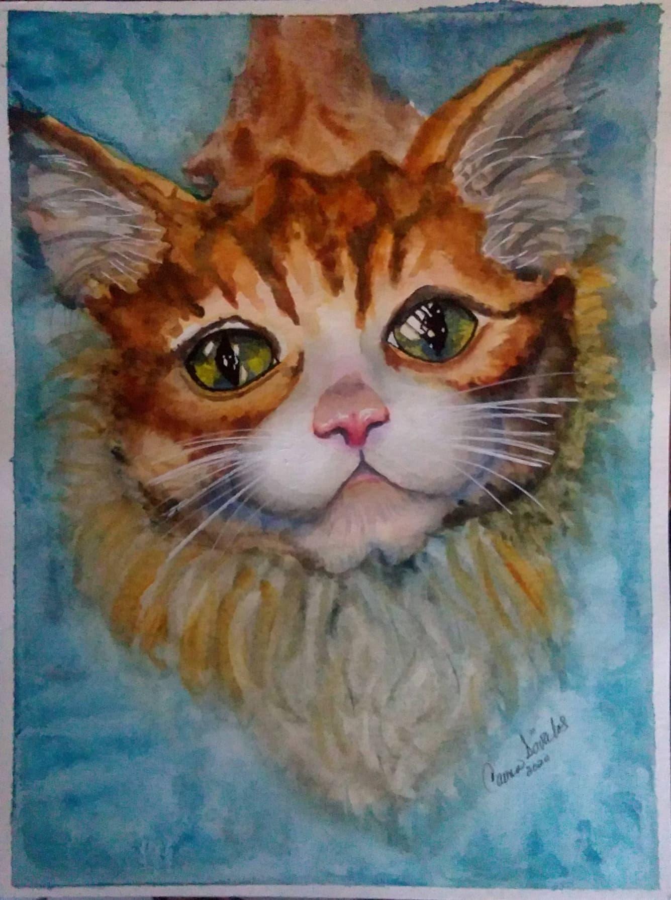 Cat. Carmen Davalos - image 1 - student project