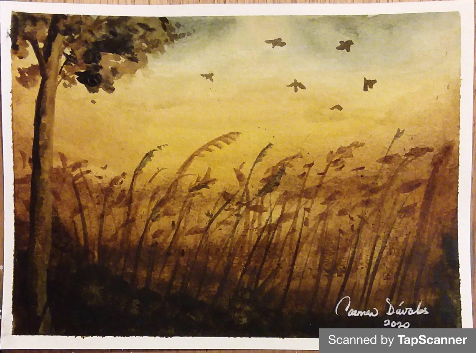 Carmen Davalos - image 2 - student project