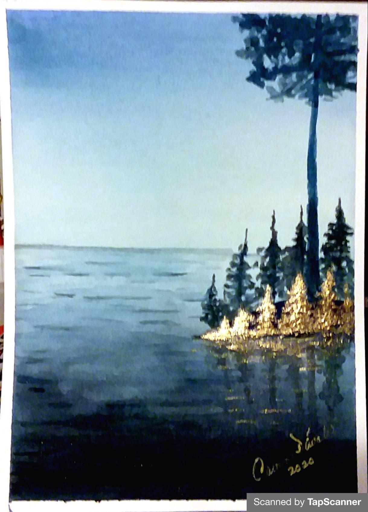 Carmen Davalos - image 1 - student project