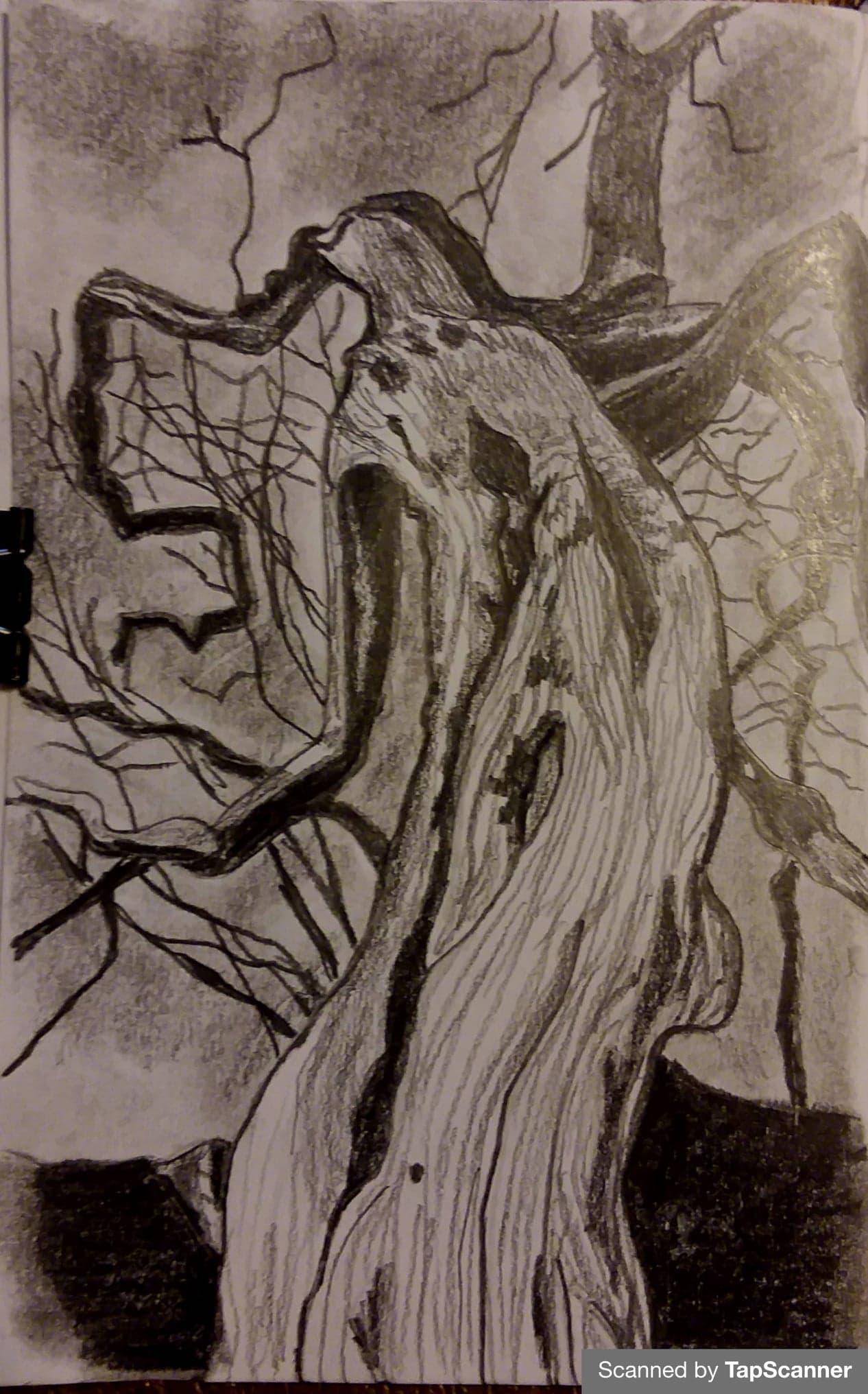 Gnarled tree - image 1 - student project