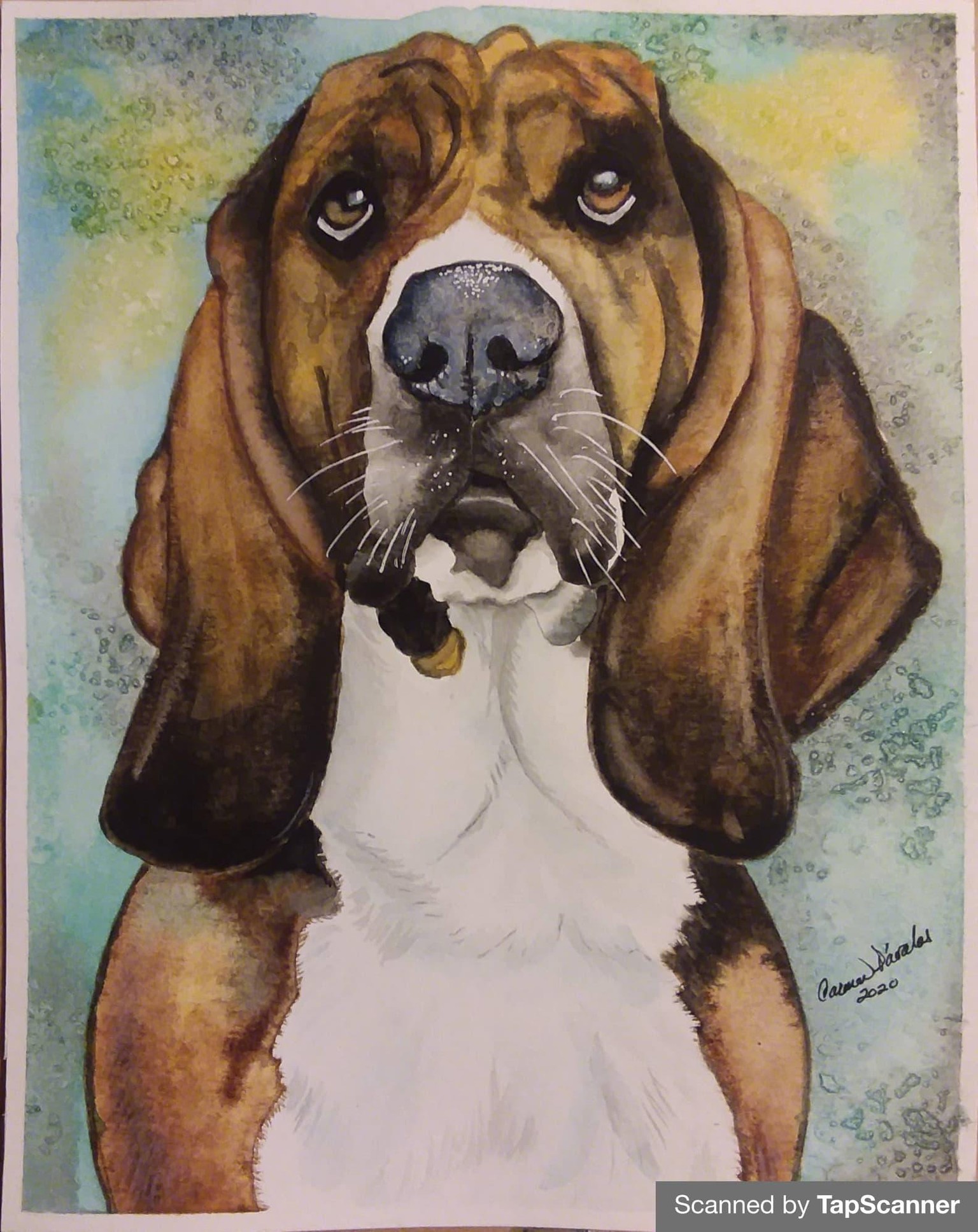 Cooper´s portrait - image 1 - student project