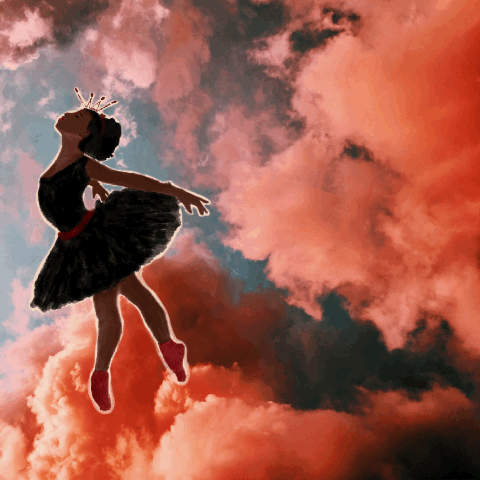 Black Swan - image 1 - student project