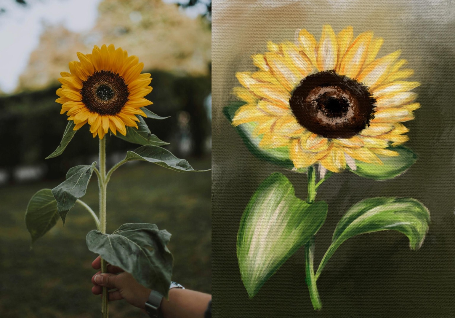 Sunflower - image 1 - student project