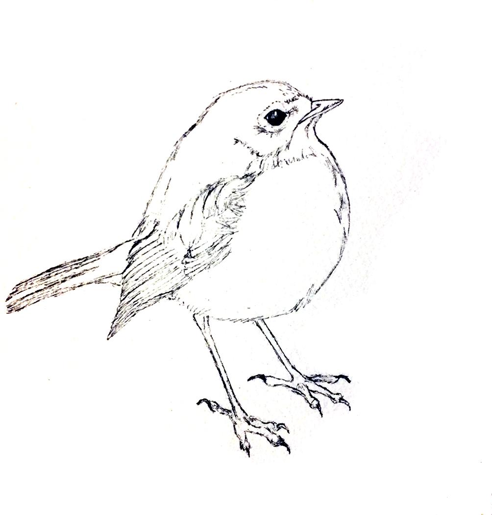 Something I love to Draw - image 3 - student project