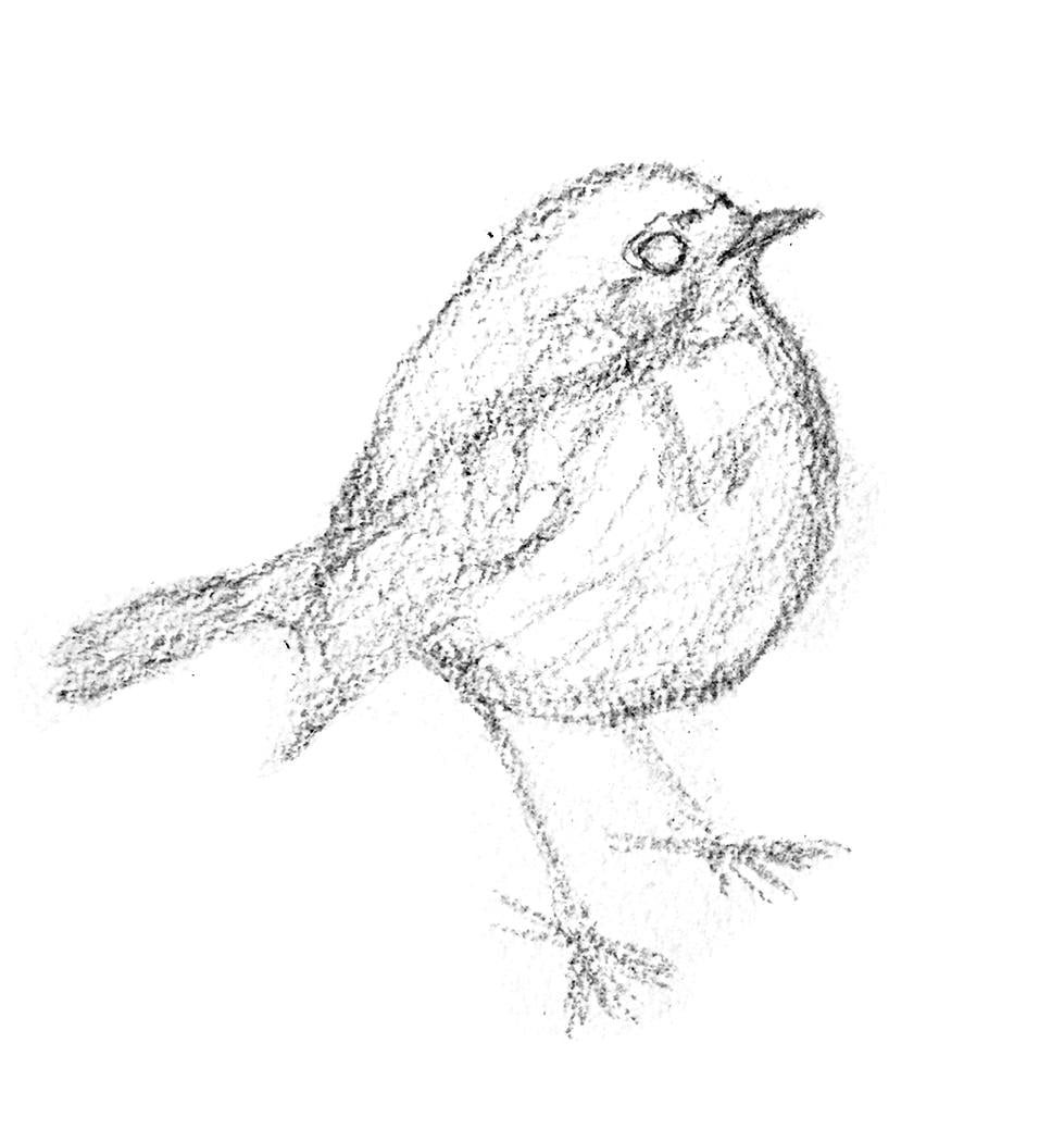 Something I love to Draw - image 2 - student project