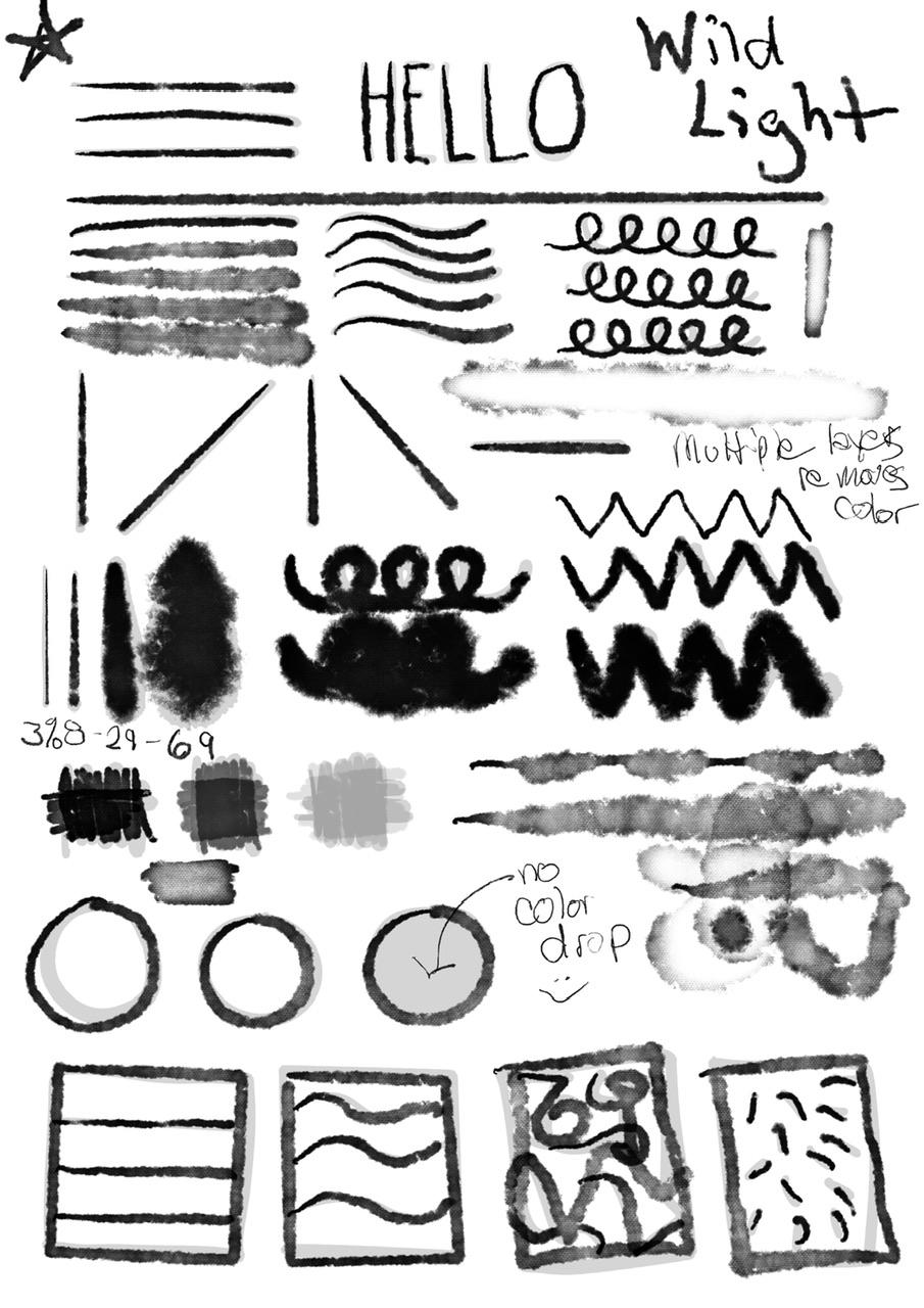 Wild light - image 1 - student project