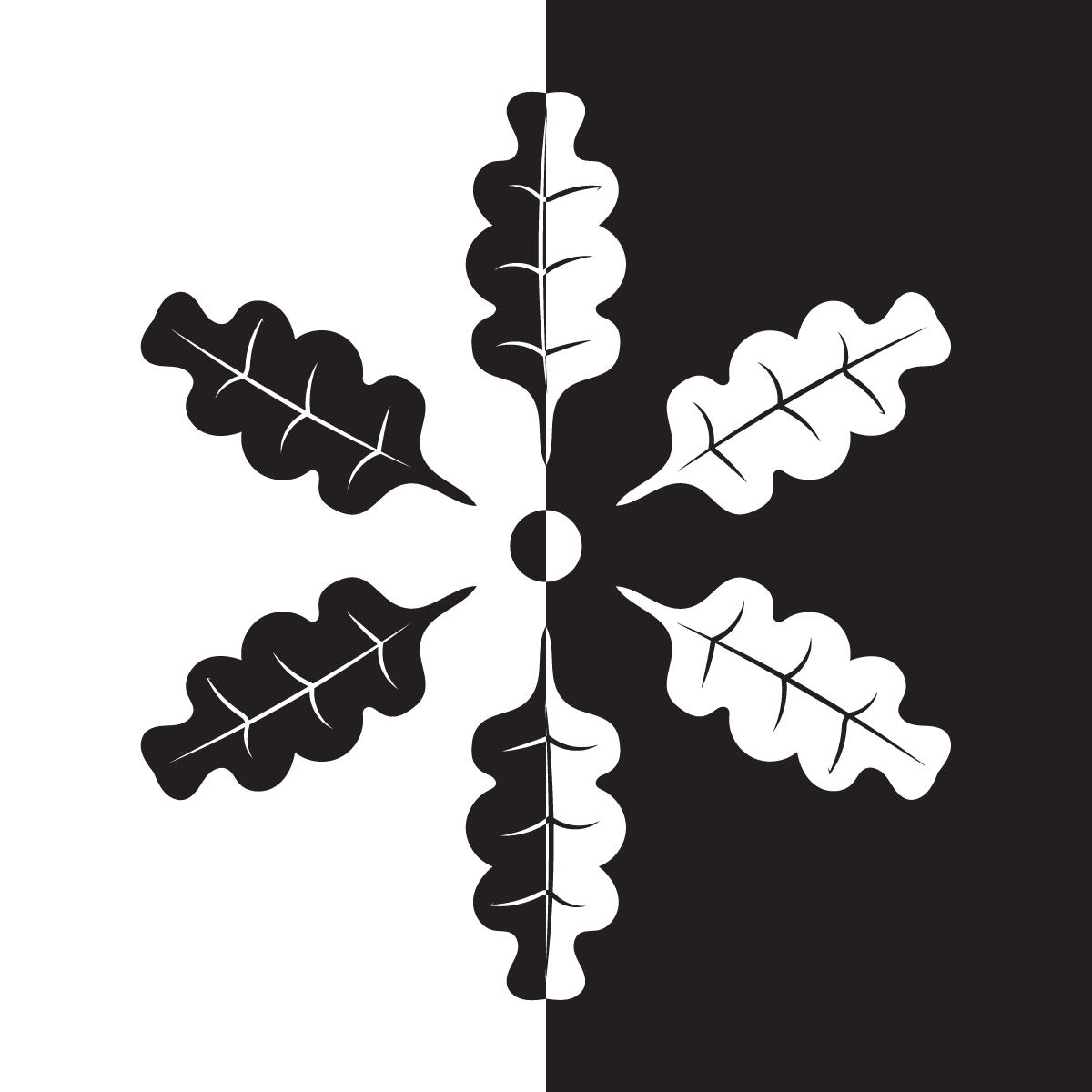 Design in Black and White + - image 1 - student project