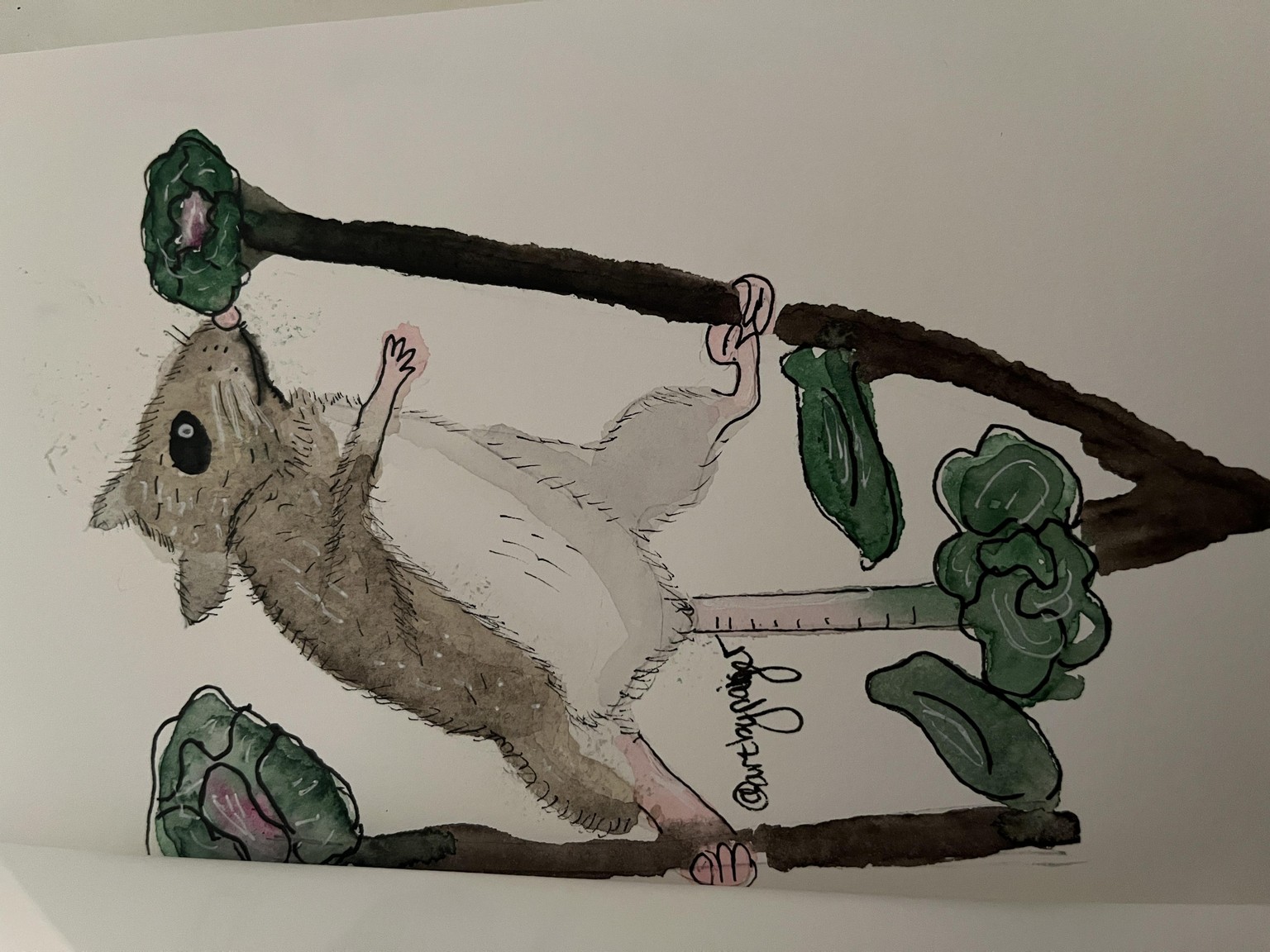 Mouse - image 1 - student project