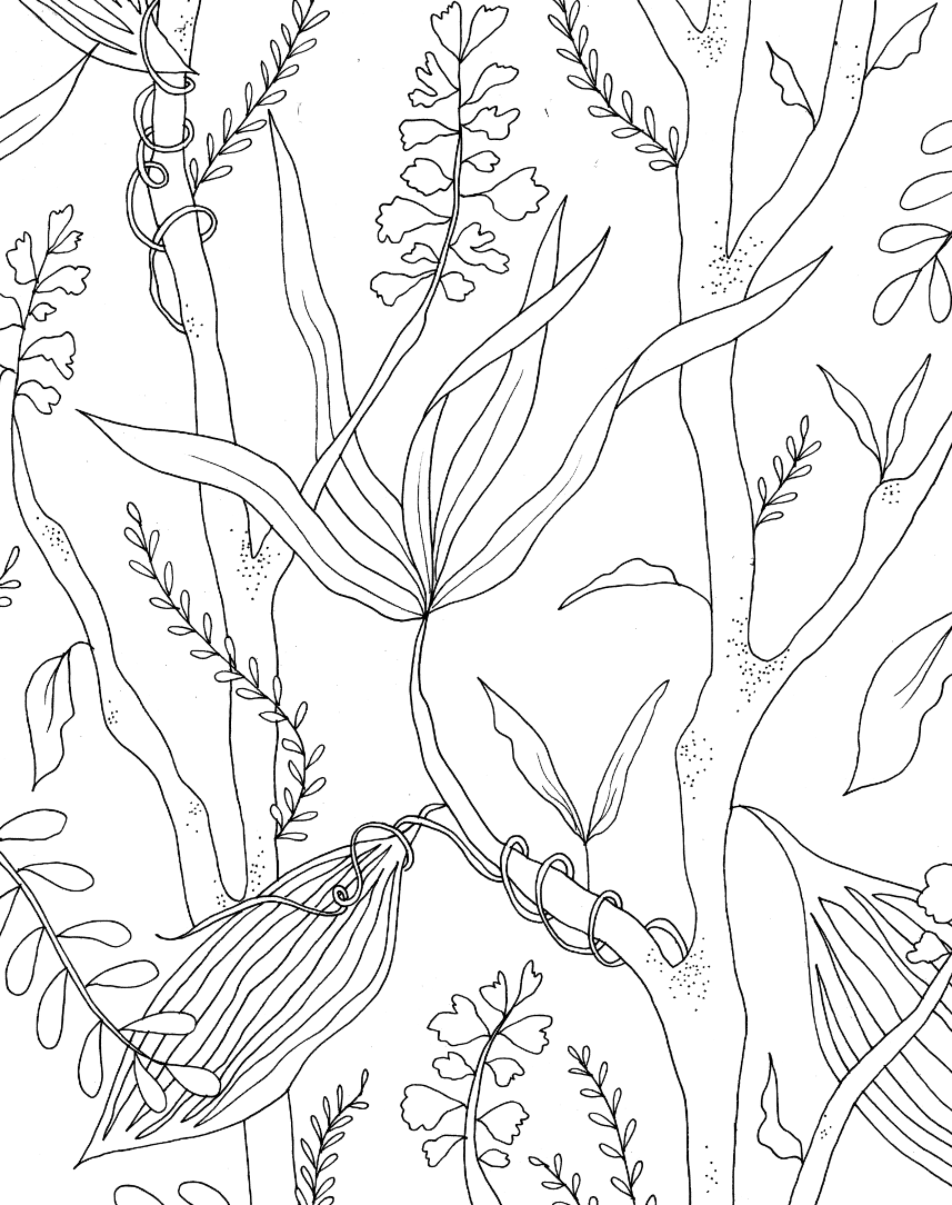 Jungle Tree of Life - image 2 - student project