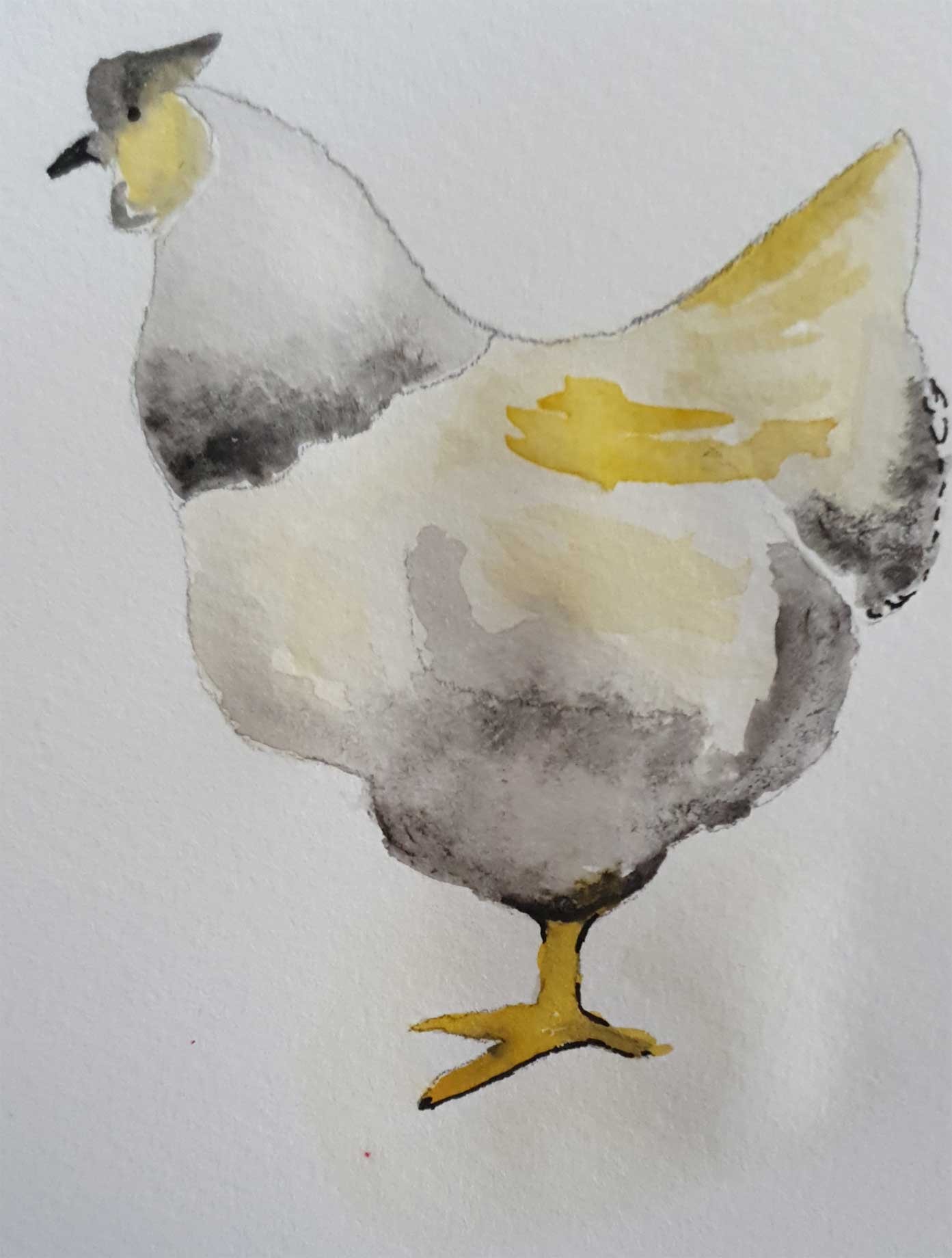 One legged chicken - image 1 - student project