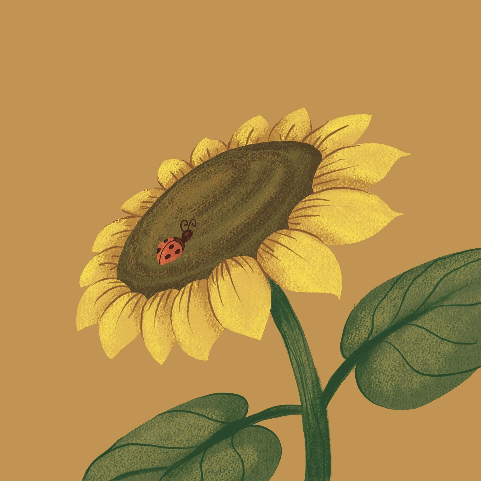 Kickstart 2 - image 7 - student project
