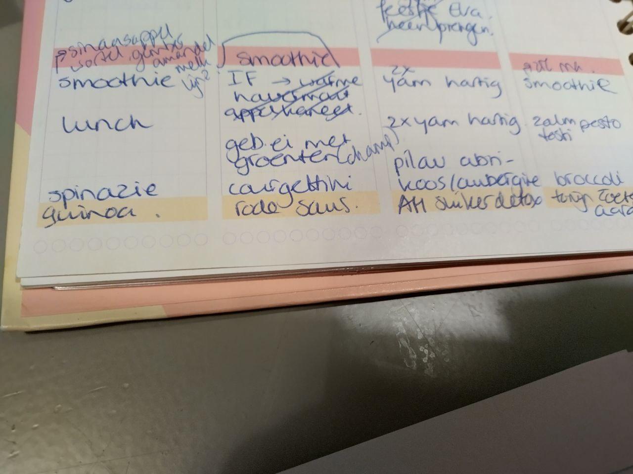 mealplanning and extra tips! - image 1 - student project