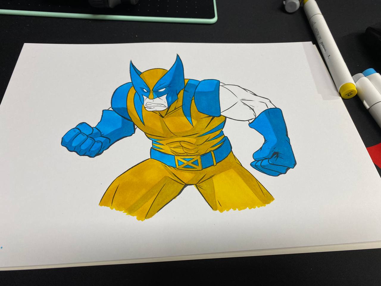 Wolverine - image 2 - student project