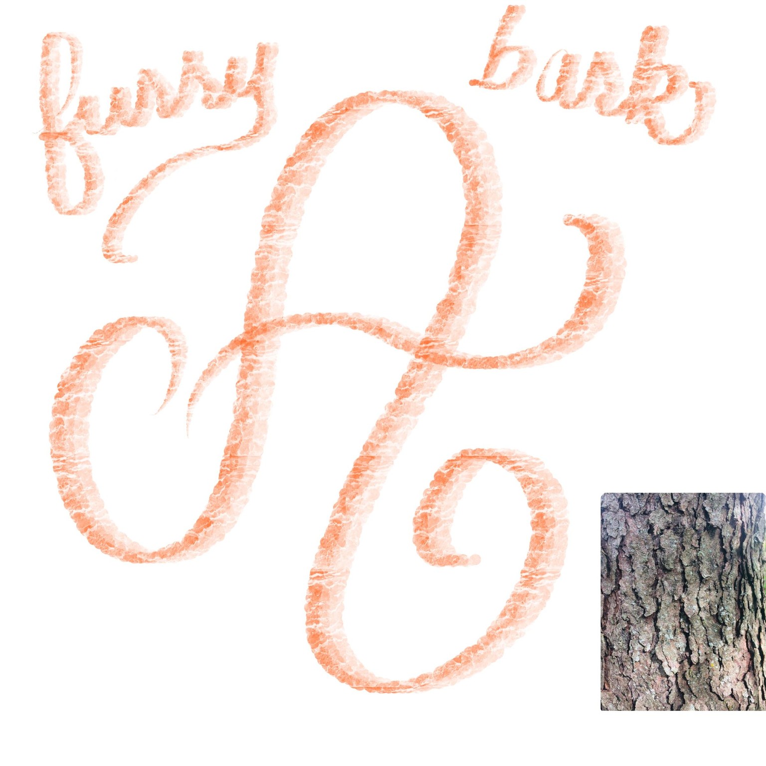 feathers, bark, fur, EKG - image 5 - student project