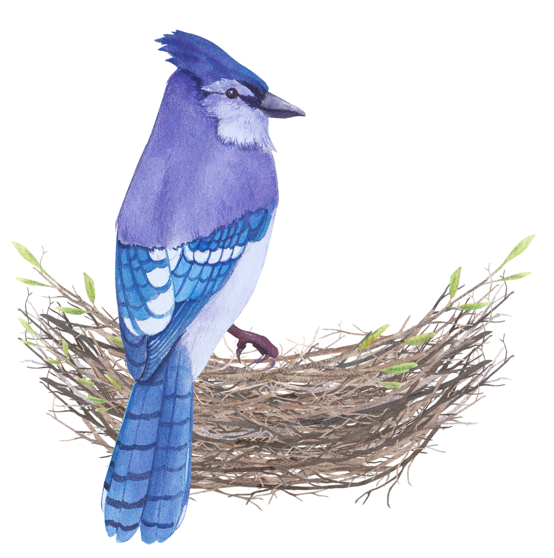 Birdie + Nest - image 1 - student project
