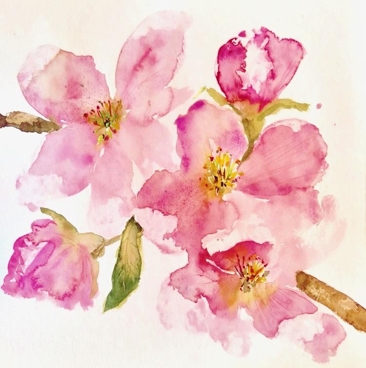 MY CHERRY BLOOSOM - image 1 - student project