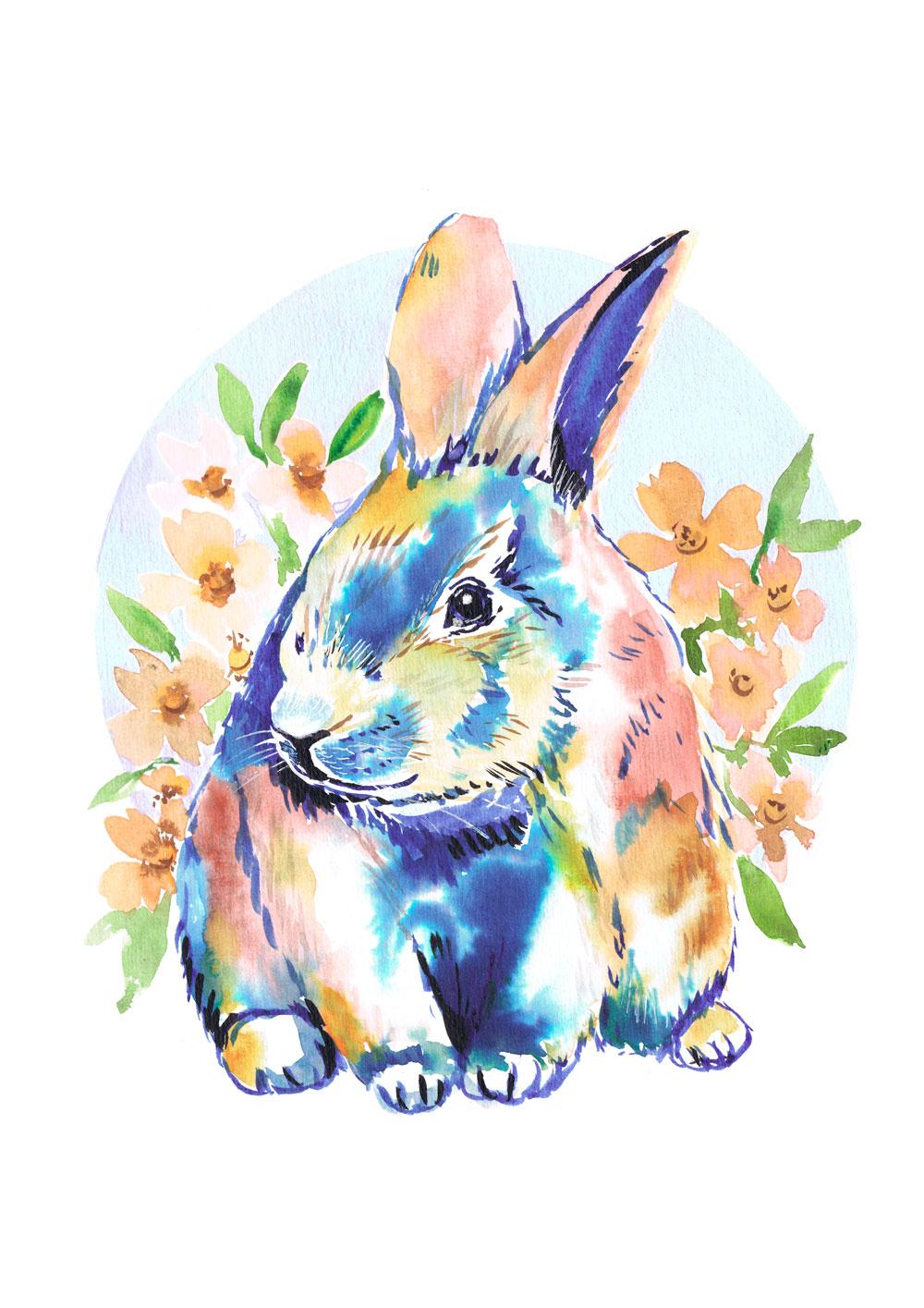 animals - image 1 - student project