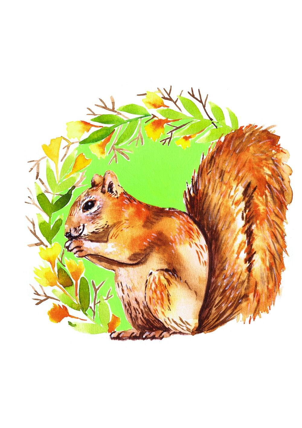 animals - image 6 - student project