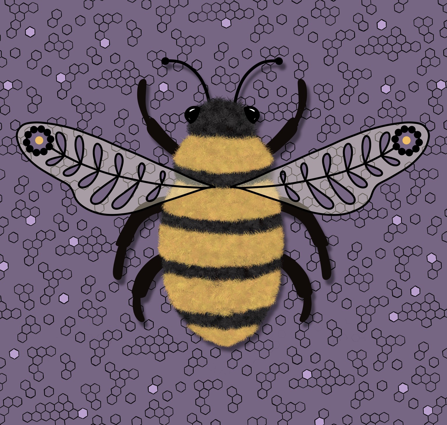 10 days of moths & beetles - image 6 - student project