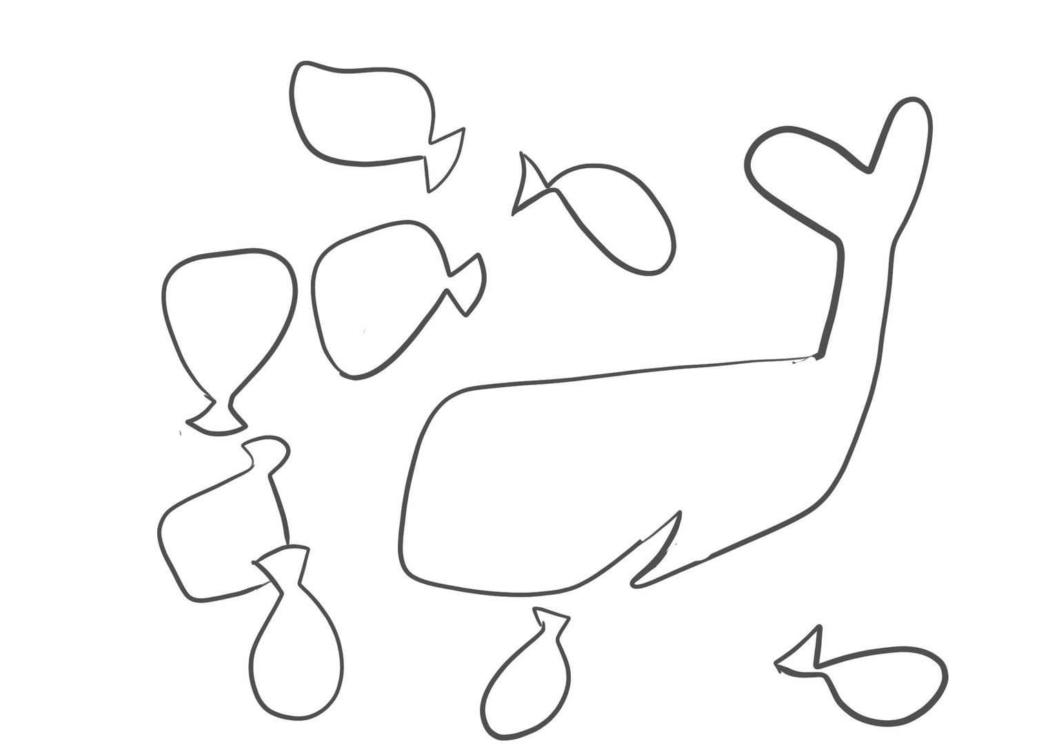 Whale of a good time - image 3 - student project
