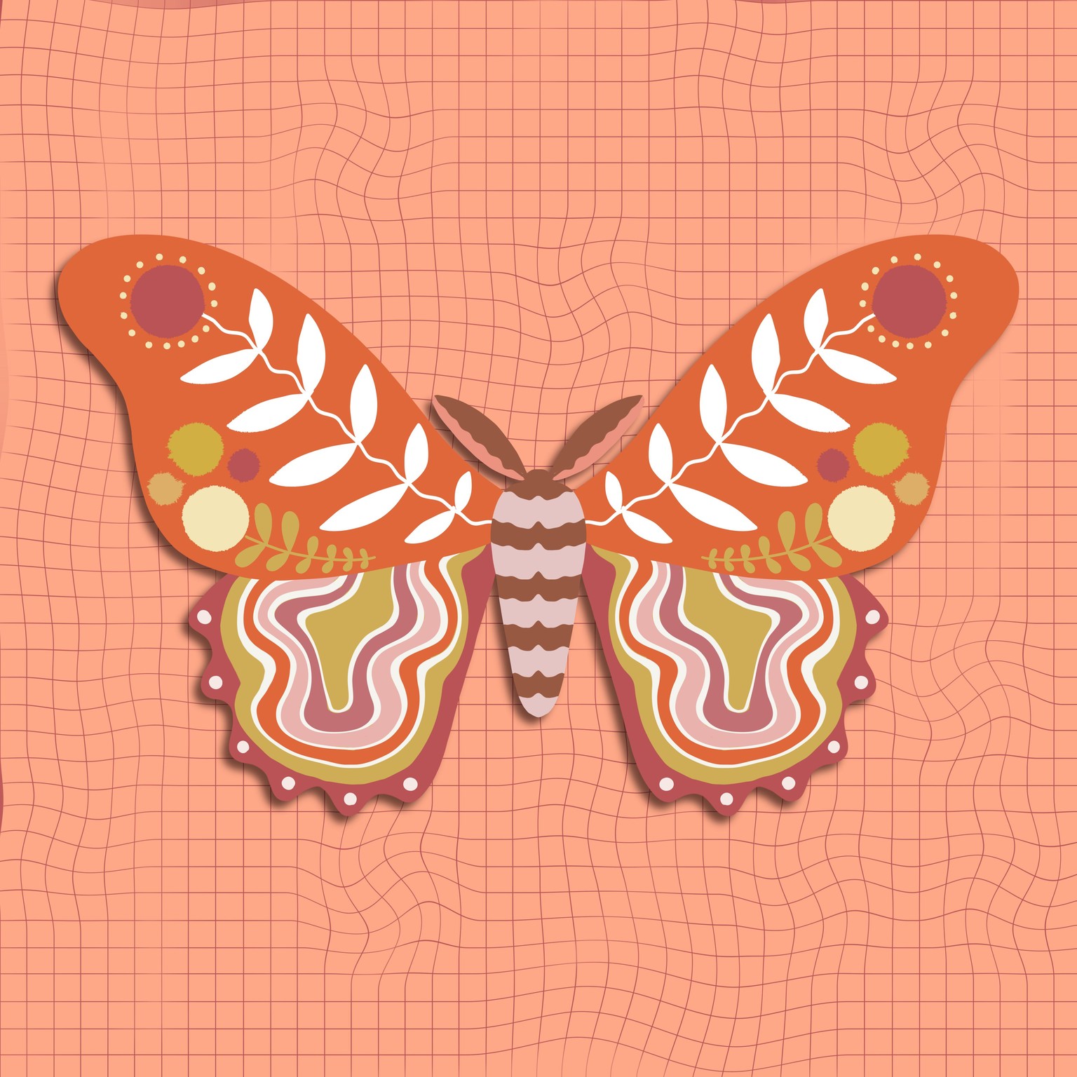 10 days of moths & beetles - image 2 - student project