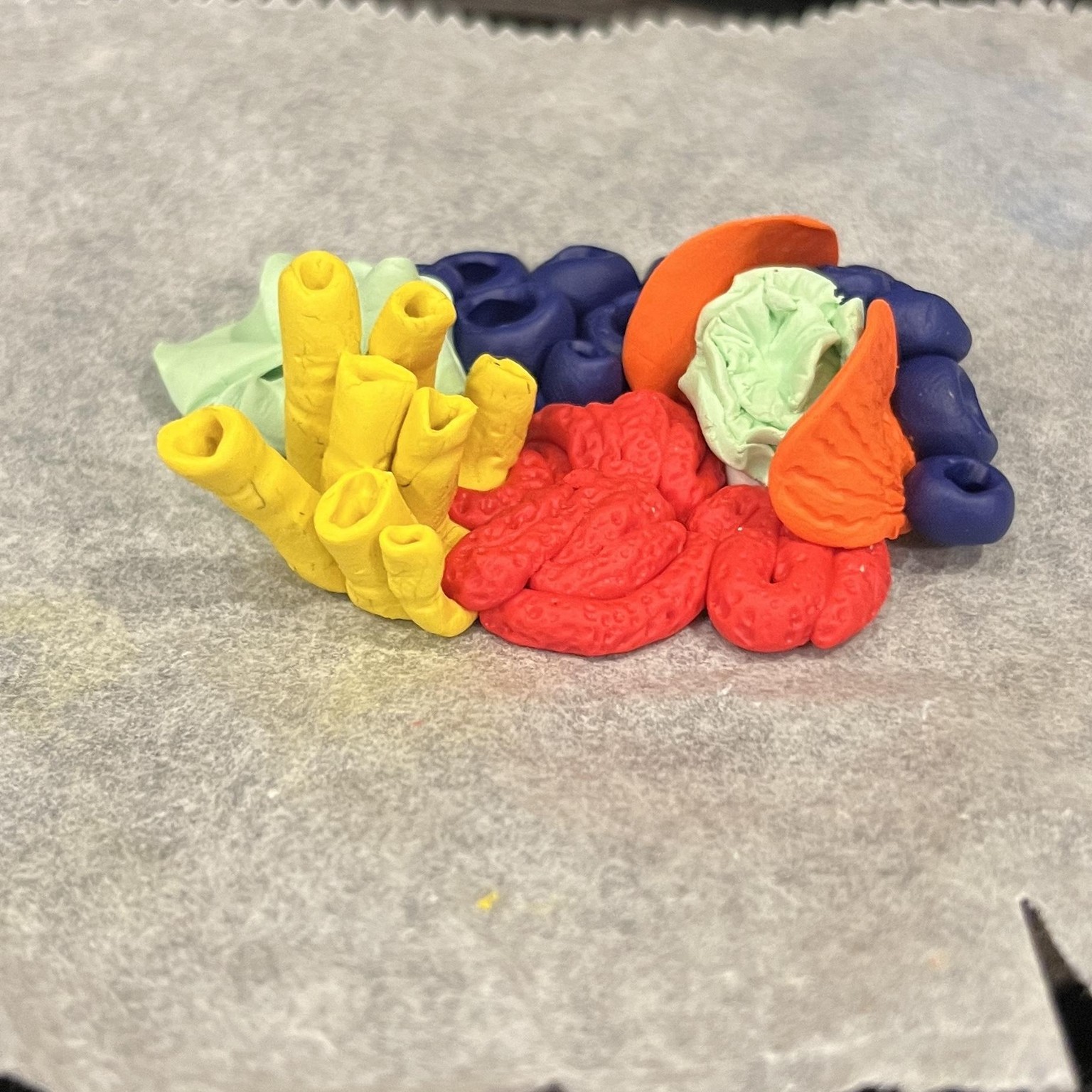 Coral Reef - image 3 - student project