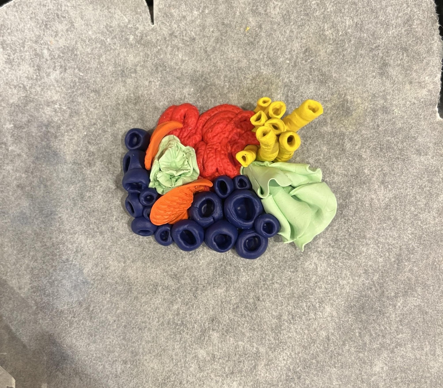 Coral Reef - image 1 - student project