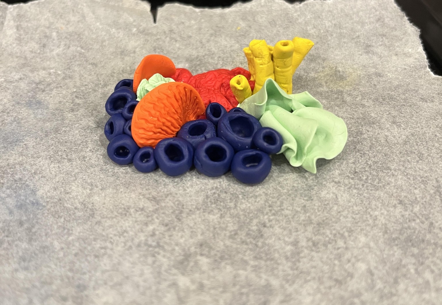 Coral Reef - image 2 - student project