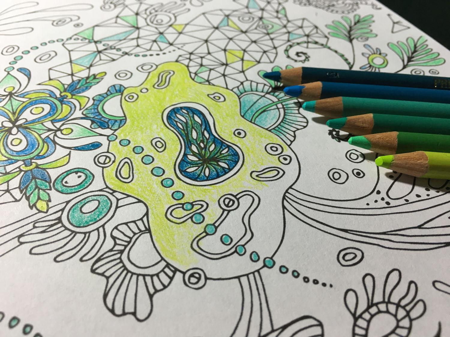 “Botanical Triangulation” Pattern - image 6 - student project