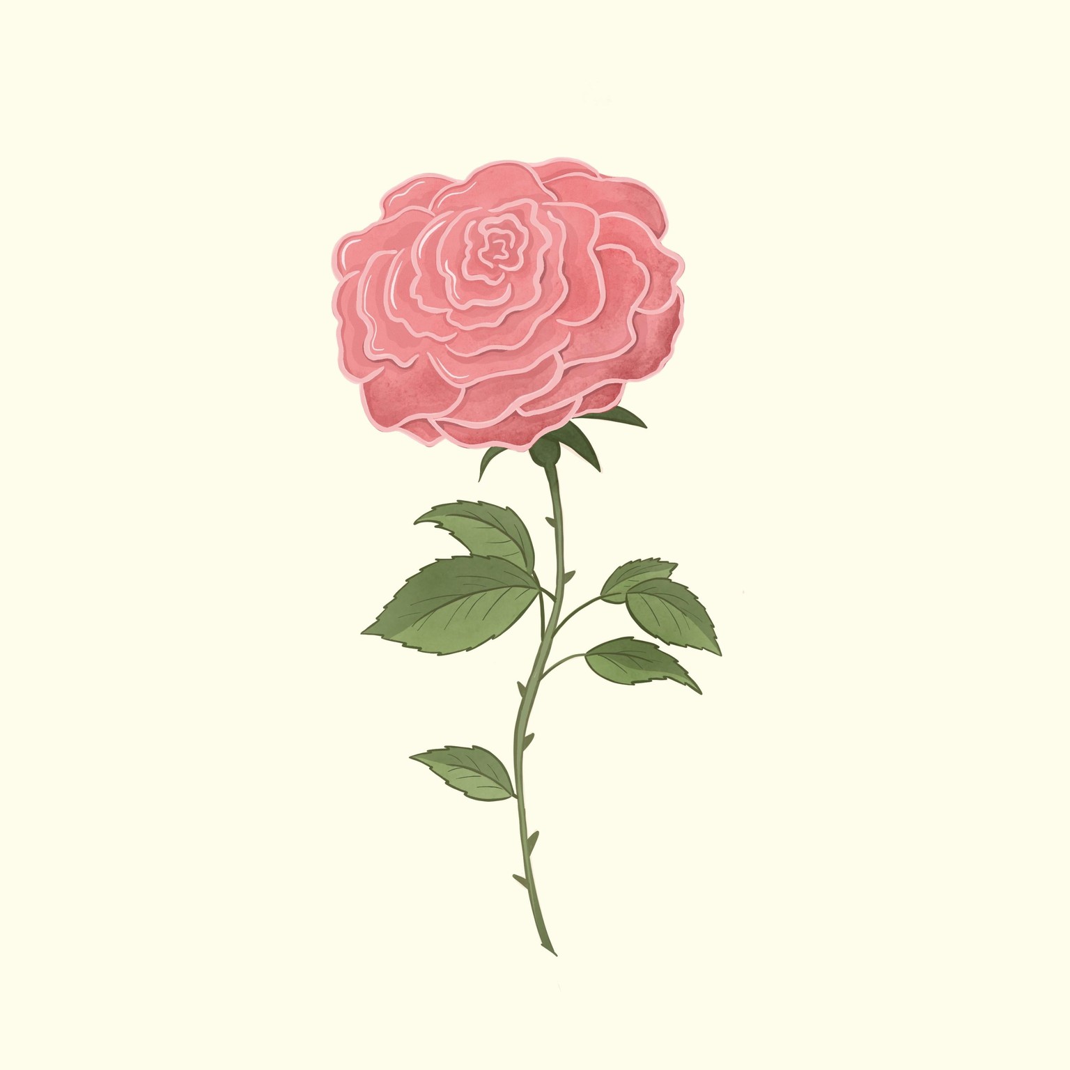 Drawing Rose in Procreate - image 1 - student project