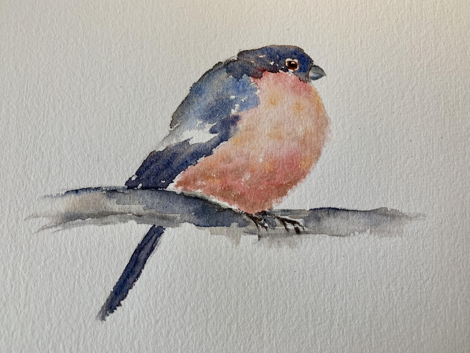 my three winter birds - image 1 - student project